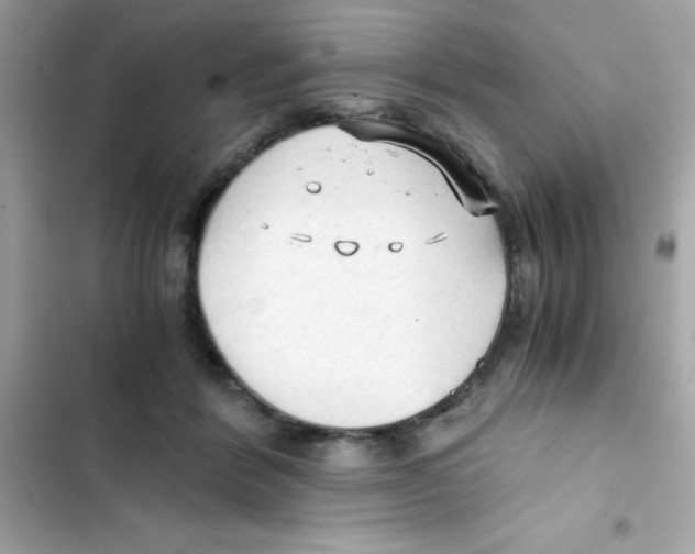 X0000103130412200809191946