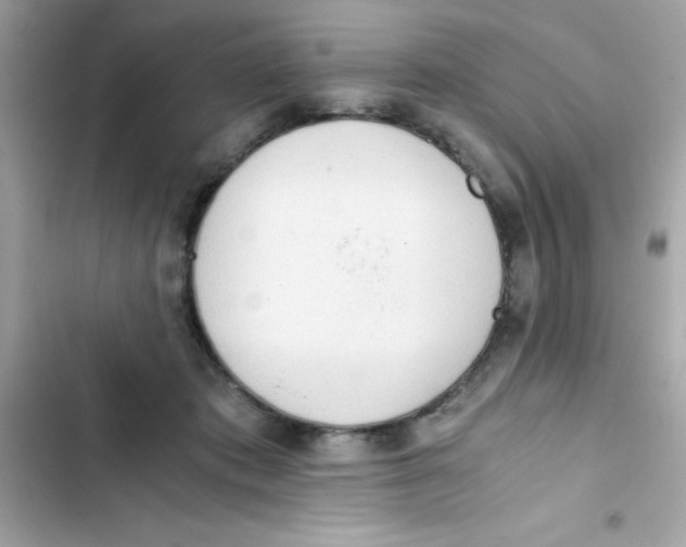 X0000103130413200809191946