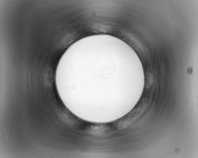 X0000103130414200809191946
