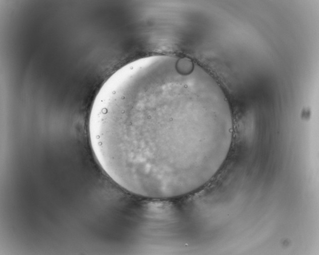 X0000103130415200809191946