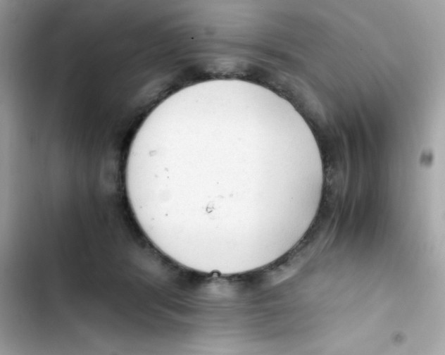 X0000103130416200809191946