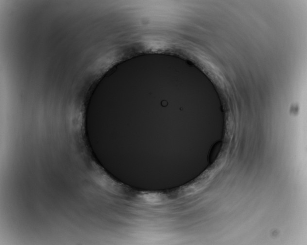 X0000103130417200809191946