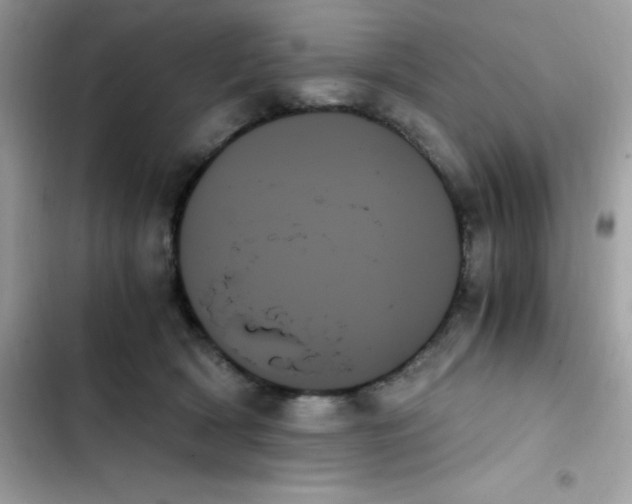 X0000103130418200809191946