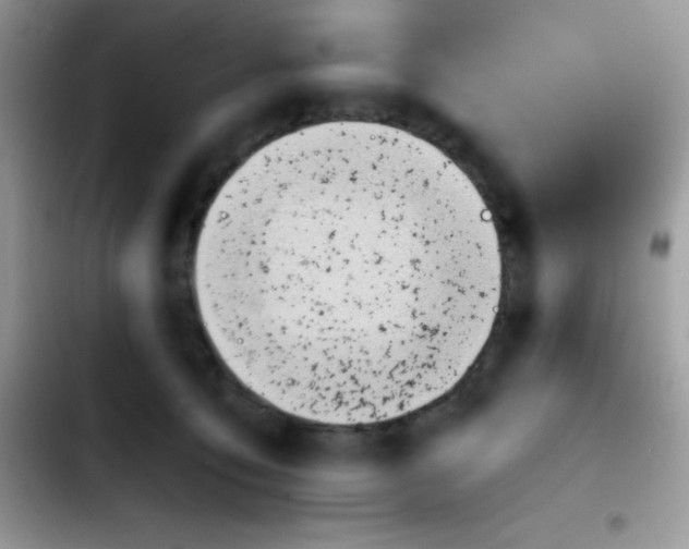 X0000103130419200809191946