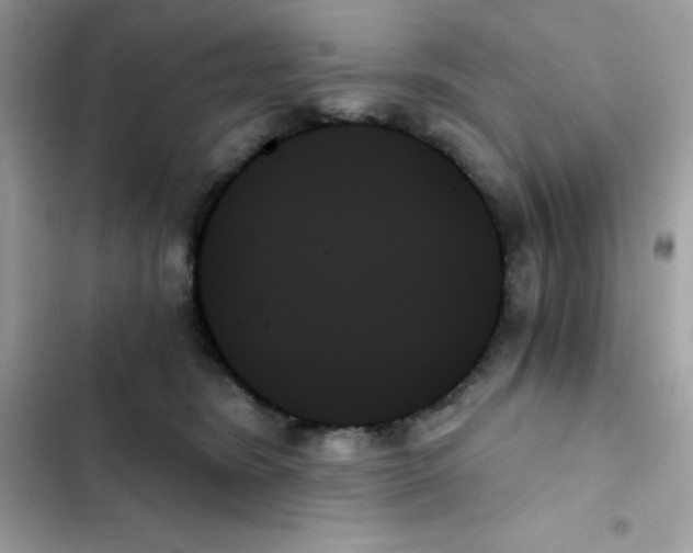 X0000103130420200809191946