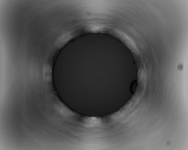 X0000103130421200809191946