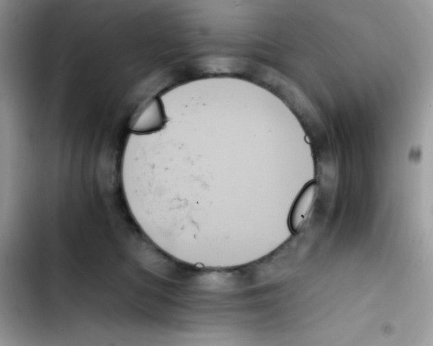 X0000103130422200809191946