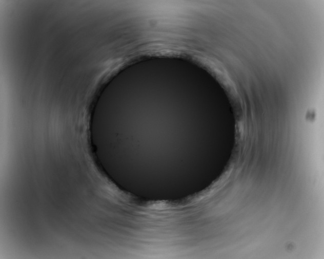 X0000103130423200809191946