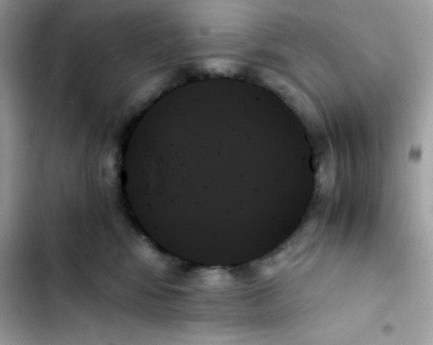 X0000103130424200809191946