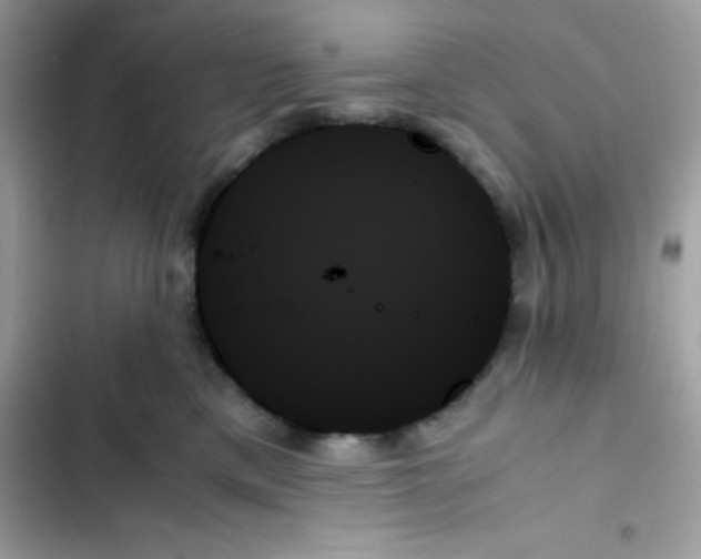 X0000103130425200809191946
