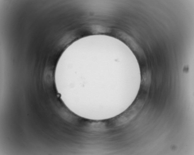 X0000103130426200809191946