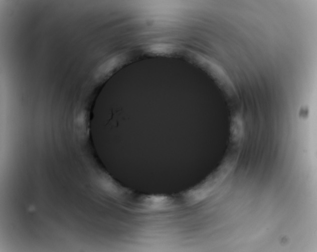 X0000103130428200809191946