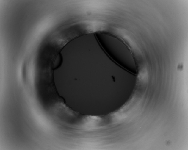 X0000103130429200809191946