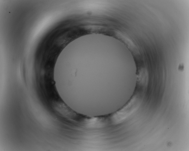 X0000103130430200809191946