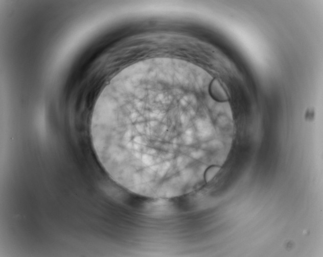 X0000103130431200809191946