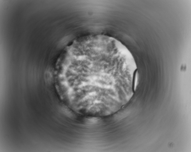 X0000103130432200809191946