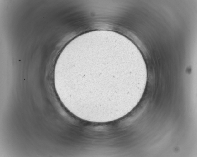 X0000103130433200809191945