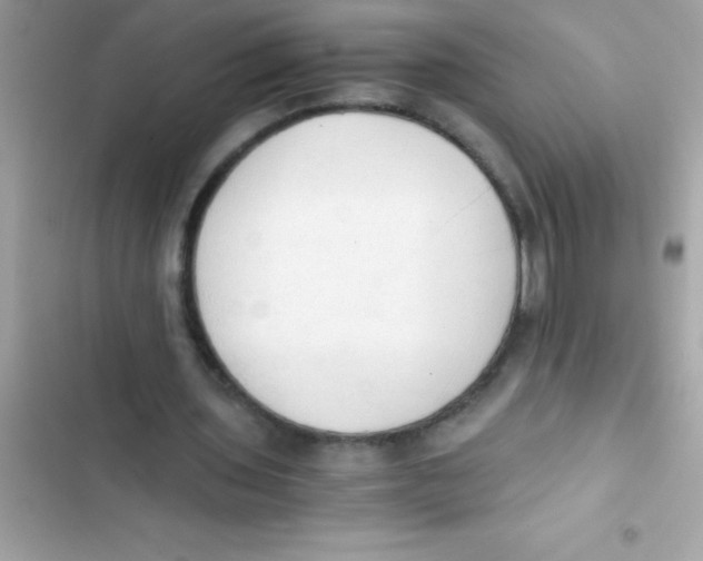 X0000103130435200809191945