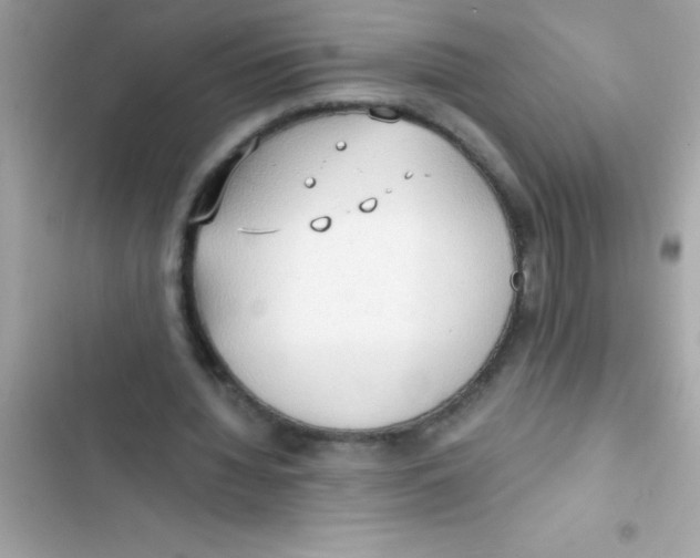 X0000103130436200809191945