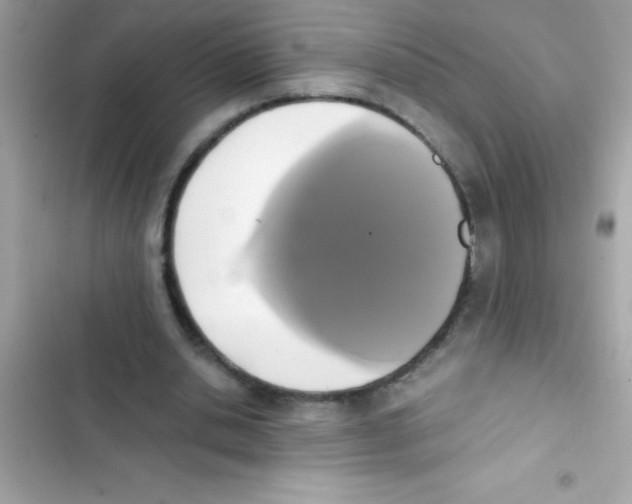 X0000103130438200809191945