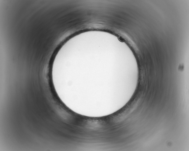 X0000103130439200809191945