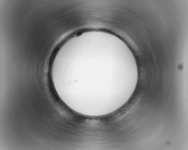 X0000103130440200809191945