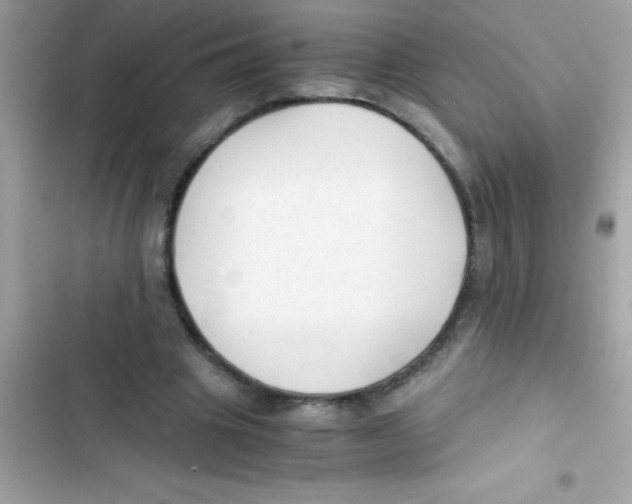 X0000103130441200809191945