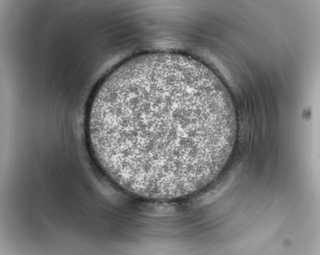 X0000103130443200809191945