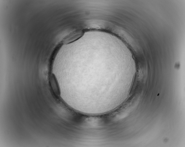 X0000103130444200809191945