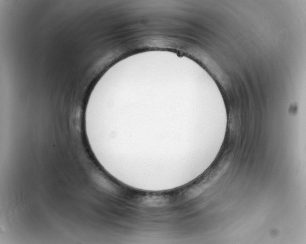 X0000103130445200809191945
