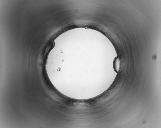 X0000103130448200809191945