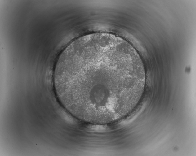 X0000103130449200809191945
