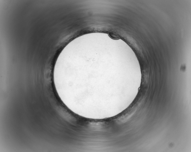 X0000103130450200809191945