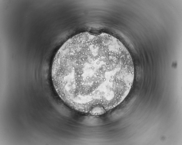 X0000103130451200809191945