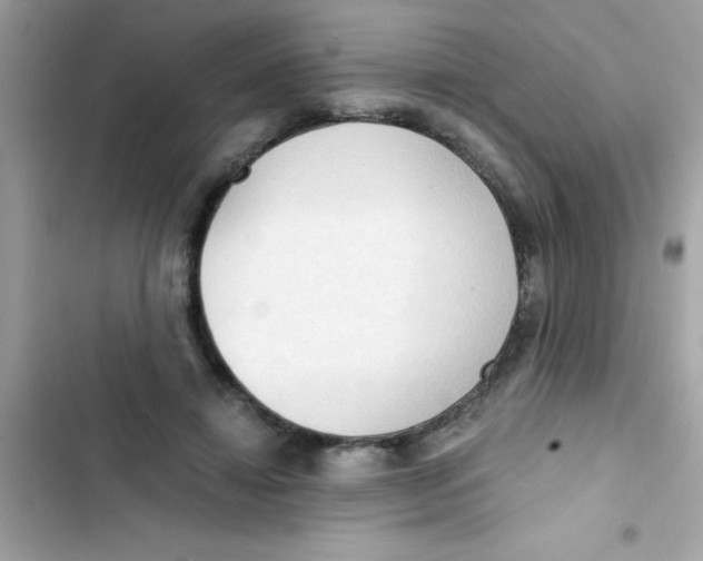 X0000103130452200809191945