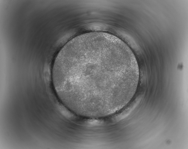X0000103130453200809191945