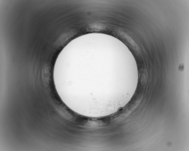 X0000103130455200809191945