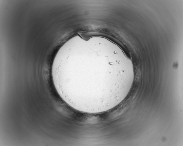 X0000103130456200809191945