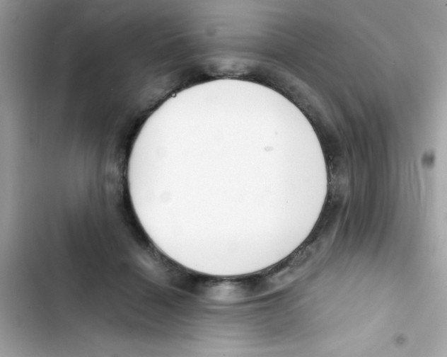 X0000103130460200809191945