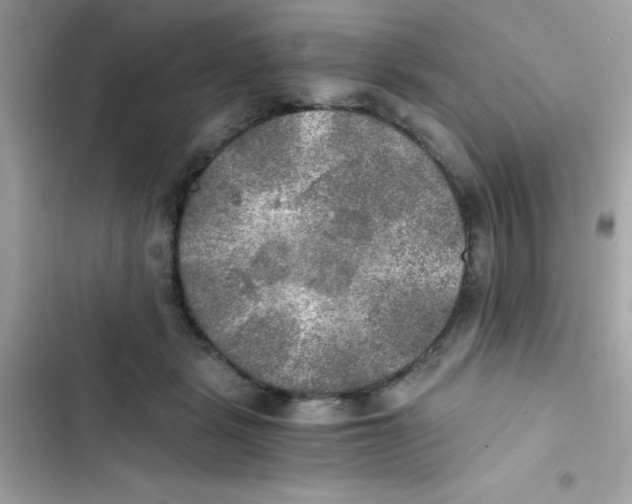 X0000103130461200809191945