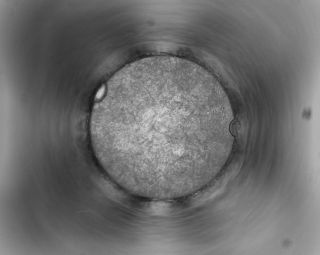 X0000103130462200809191945