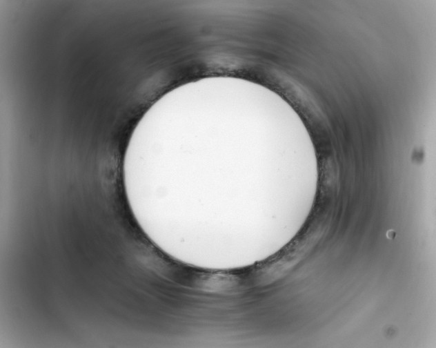 X0000103130463200809191945