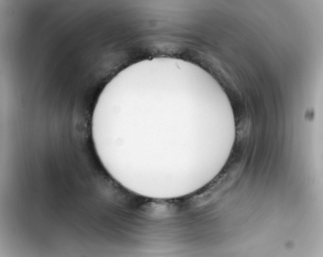 X0000103130464200809191945