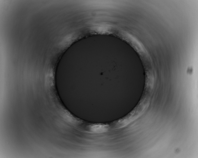 X0000103130465200809191945