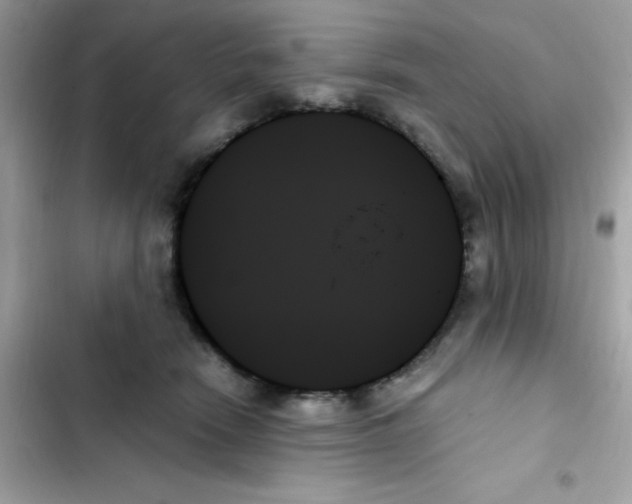 X0000103130466200809191945