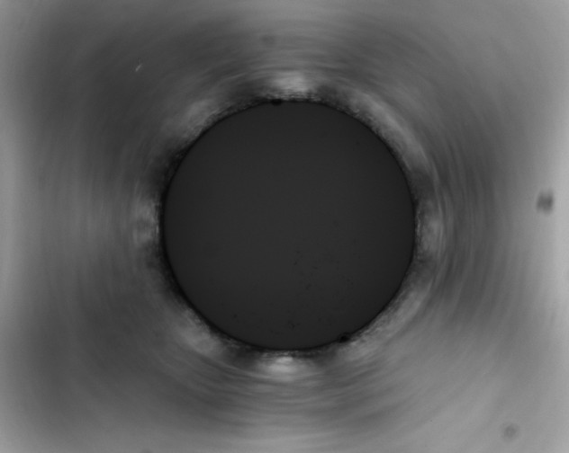 X0000103130467200809191945