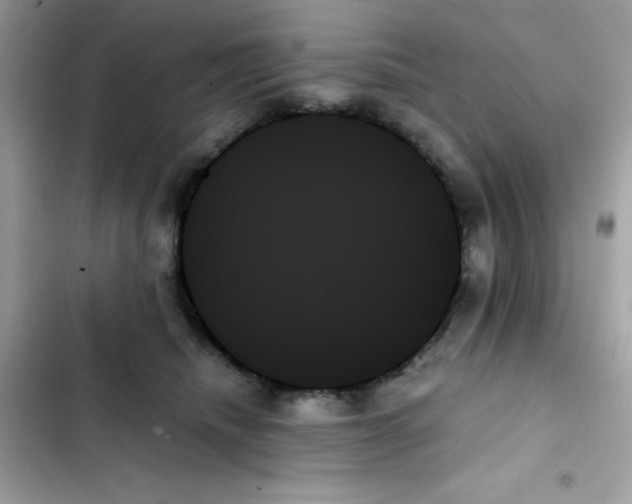 X0000103130468200809191945