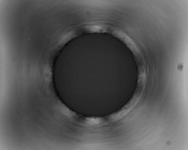 X0000103130469200809191945