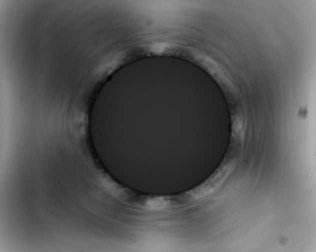 X0000103130470200809191945