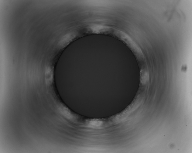 X0000103130471200809191945